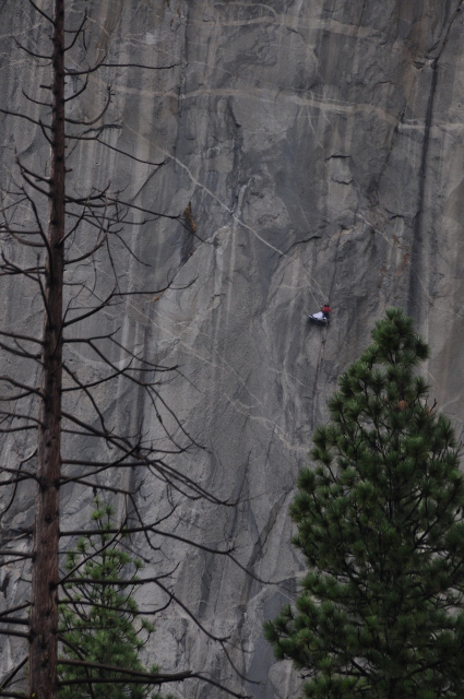 dlimber on El Capitan